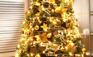 安全耐用燈線 安全耐用燈線